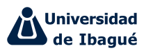 universidad de ibague